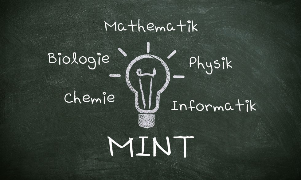 Schüler auf der Suche nach „MINT-Phänomenen“ im Alltag Schüler auf der Suche nach „MINT-Phänomenen“ im Alltag